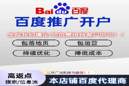 百度竞价成功案例解析